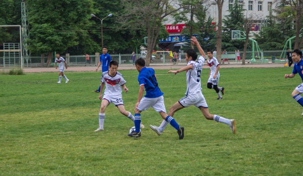 提醒大家无 提醒大家无